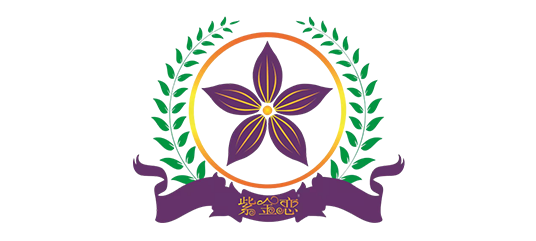 upload/img/20240202162237.png